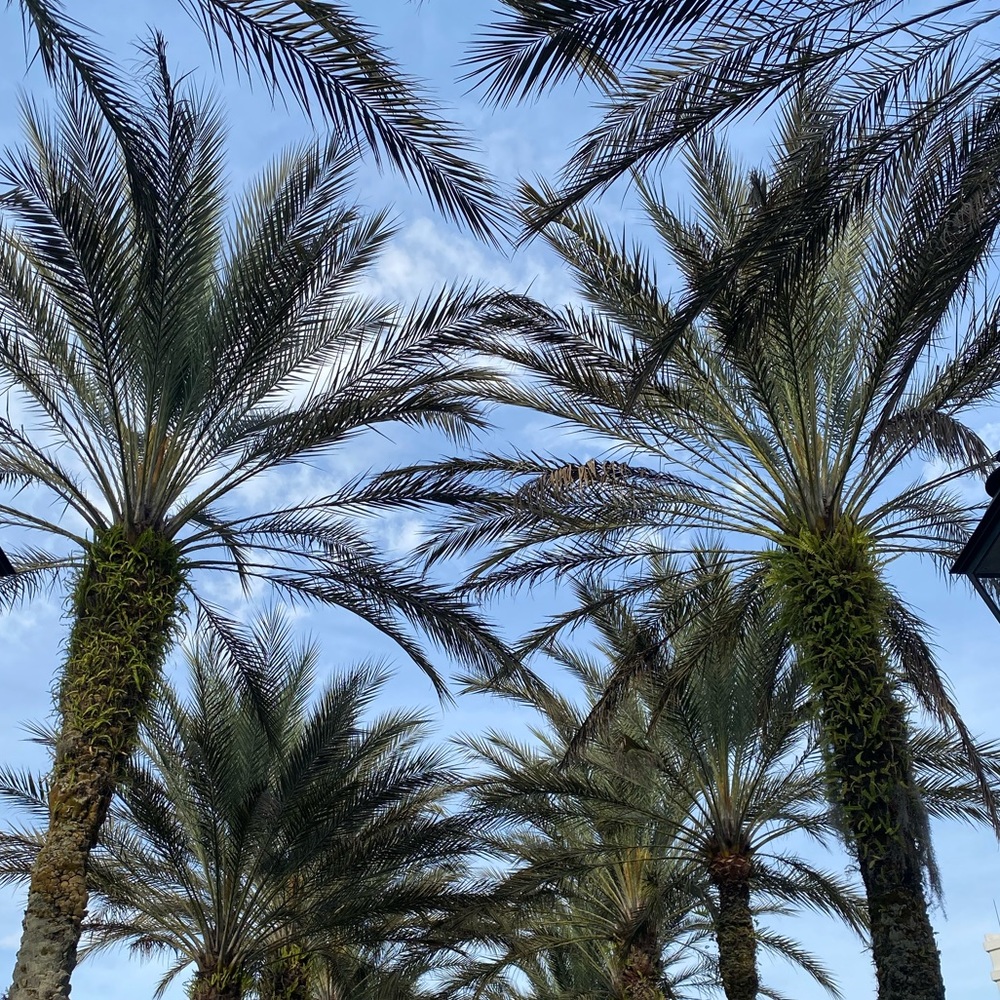 Meet your Posher, Catherine